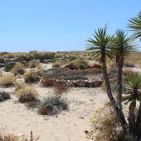 Pedras Del Rei Studio Tavira Kültér fotó
